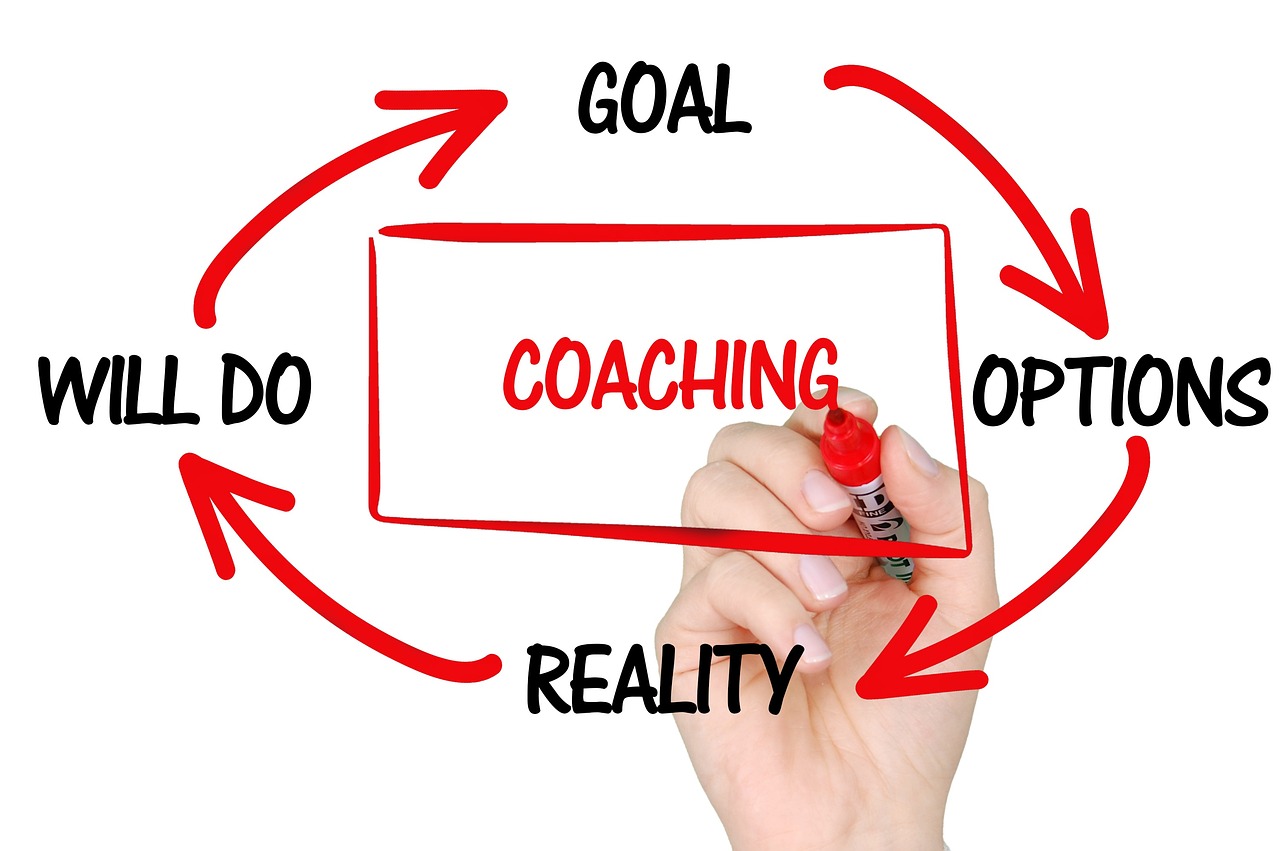 Photo by TheDigitalArtist coaching, mentoring