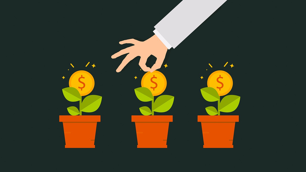 Photo by mohamed_hassan money, grow, gain